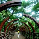 축령산 치유의 숲 안내센터 | 장성 가볼만한곳 축령산 편백치유의숲 하늘숲길