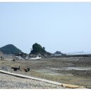 곰섬시밀레펜션 이미지