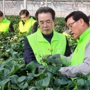 이성희농장 이미지