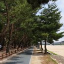 섬진강자전거길 인증센터 이미지