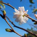 나오리농장 이미지