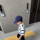 유성농원 | 4살 아들이랑 천안 알밤 줍기 체험 유성농원 다녀오기