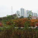 밤동산어린이공원 이미지