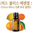 시트러스 이미지