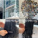 울산 삼산동 미용실 인더블룸에서 전문클리닉 받은 후기