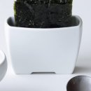 그릇된흙