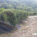 연우네 농장 이미지