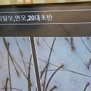 셀램