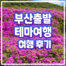 조각공원 | 여행] 황매산 철쭉축제부터 산청 조각공원·출렁다리까지! 생생한 당일여행 후기 (feat. 지리산 매운탕)