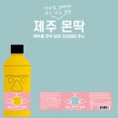 디자인몬딱 이미지