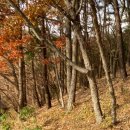 형제가든 이미지