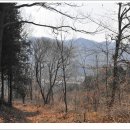 북일면사무소 이미지