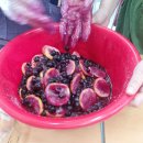 농업기술센터 꽃차 수업/블루베리, 레몬청 이미지