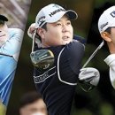 코타제주 이미지