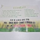 코리온스 이미지