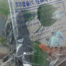 백제수족관 - 송파구 오금로 202 | 백제수족관