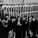 태형수지 이미지