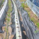 상순목장 이미지