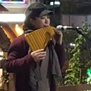 팬플룻 이미지