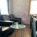 지코 모터스 이미지