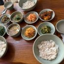 남새밭보리밥 이미지