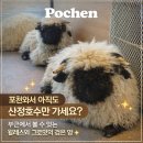 애니멀랜드 | 서울 근교 데이트, 여기서 끝냈다｜마이애니멀스토리 in 평강랜드 후기