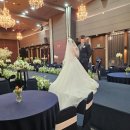 공군호텔 본식 후기_토요일 첫 타임 예식