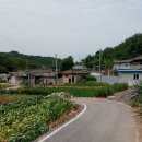 방하농장 이미지