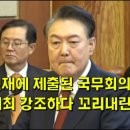 헌재에 제출된 국무회의록 정상개최 강조하다 꼬리내린 윤석열 이미지