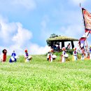 청보리 농장 이미지