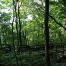 청태산휴양림 이미지