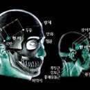 양기1 리 네이버블로그