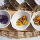 또래울협동조합 이미지