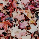 자동차사랑 이미지