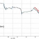 신흥대패 이미지