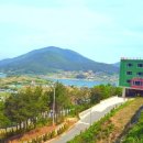 들꽃효소마을 이미지