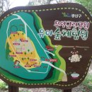 무양공원 유아숲체험원 이미지