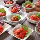 천일토굴새우젓 이미지