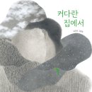 커다란 집에서 | 김선남 (지은이) | 봄봄출판사 이미지