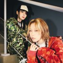 언컷 스포츠경향