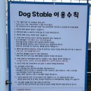 도그스테이블 석사점 | 춘천 애견카페 강아지 유치원도 있는 도그스테이블