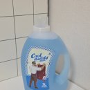 원룸세탁 | 원룸 자취방 실내건조 액체세제 추천 쿨대디 세탁세제 후기