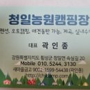 지인농원 | 강원도에 유명한 지인들과 함께 계곡캠핑장에 다녀온 후기 [청일관광농원]