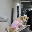 초계우체국 | [2025] 주간일기 #28