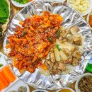 불꼼장어 이미지