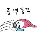 히히 그루밍 네이버블로그