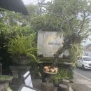 발리 우붓 몽키포레스트 식당 스윗코코아 Sweet Cocoa Ubud 방문후기