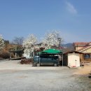 새터신풍 이미지