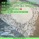 군포 카펫 청소 더러운 러그를 새것처럼 만들어드려요 e 편한 세상 금정역 에코 센트럴 아파트