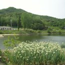 삼뱅이길 이미지